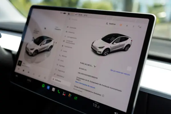 Tesla Model Y Standard 17