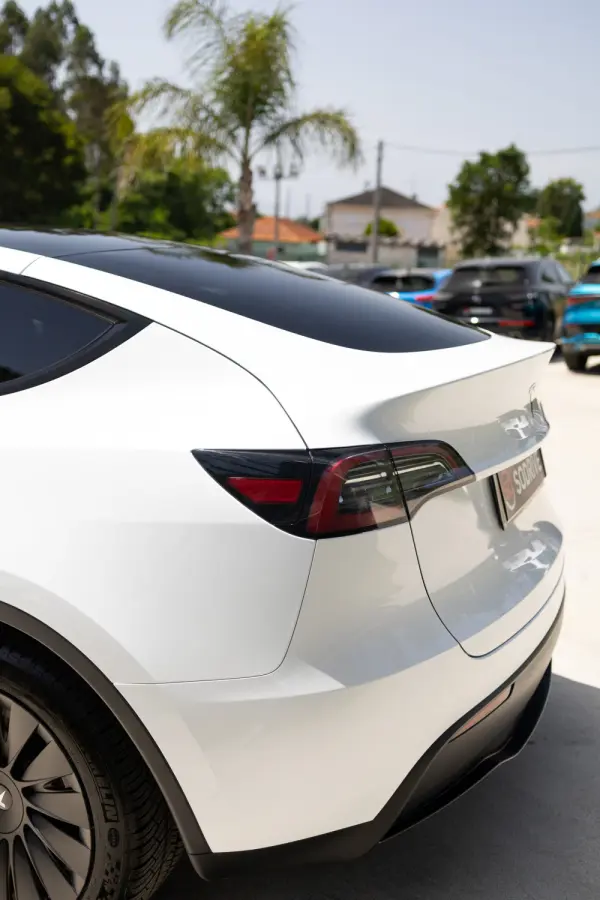 Tesla Model Y Standard 17