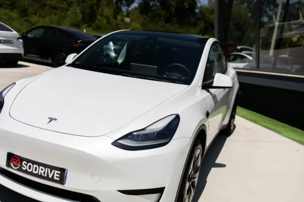 Tesla Model Y Standard 11
