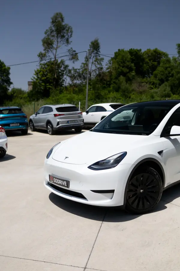 Tesla Model Y Standard 13