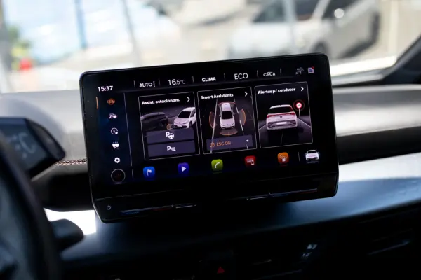 Cupra Born 58 kWh 29