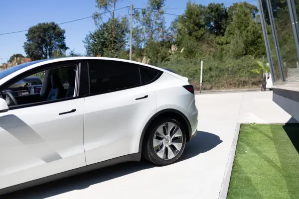 Tesla Model Y Standard 13