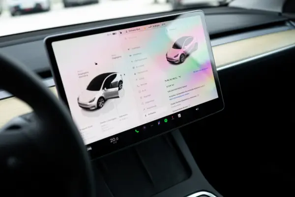 Tesla Model Y Standard 7