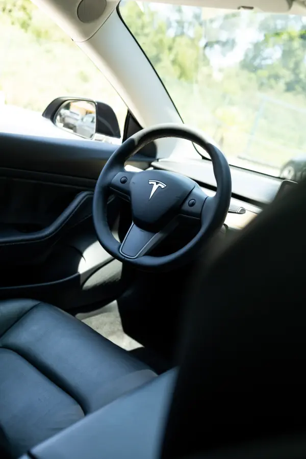 Tesla Model 3 Standard Range Plus RWD 10