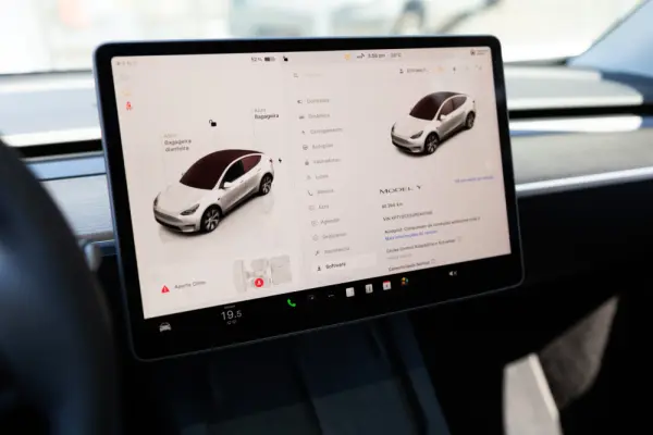 Tesla Model Y Standard 11