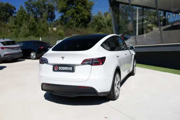 Tesla Model Y Standard 19
