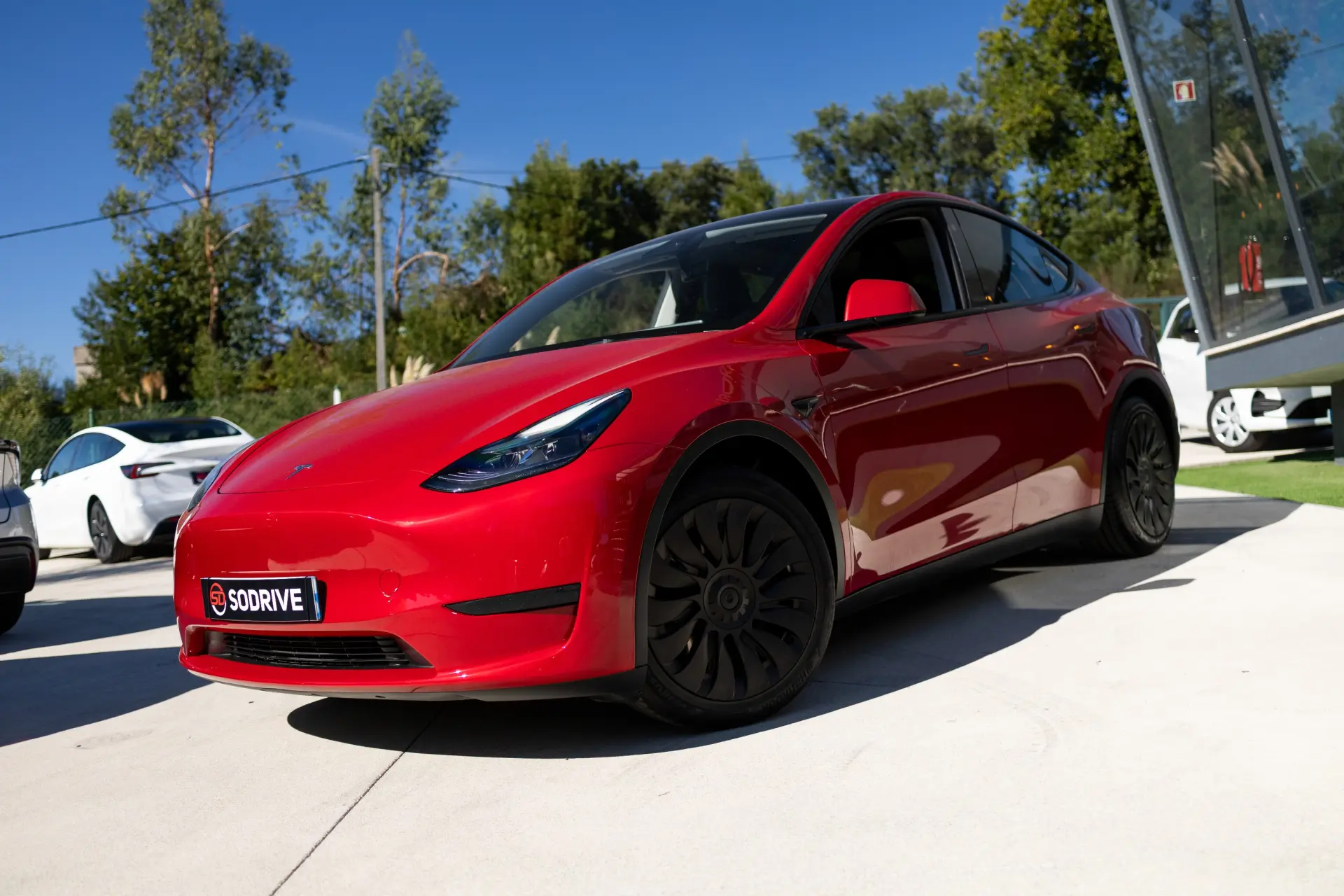 Tesla Model Y Standard 12