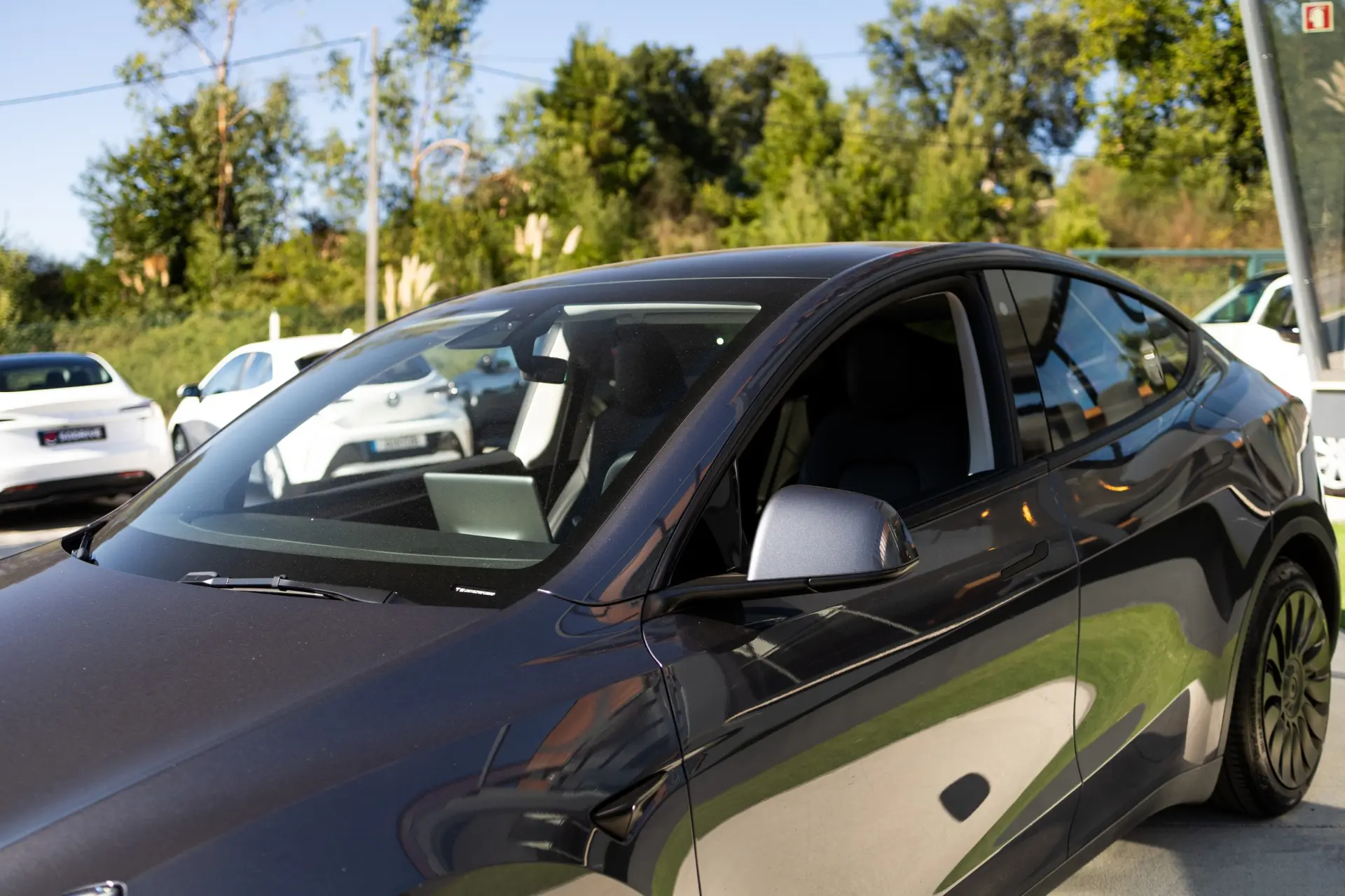 Tesla Model Y Standard 9