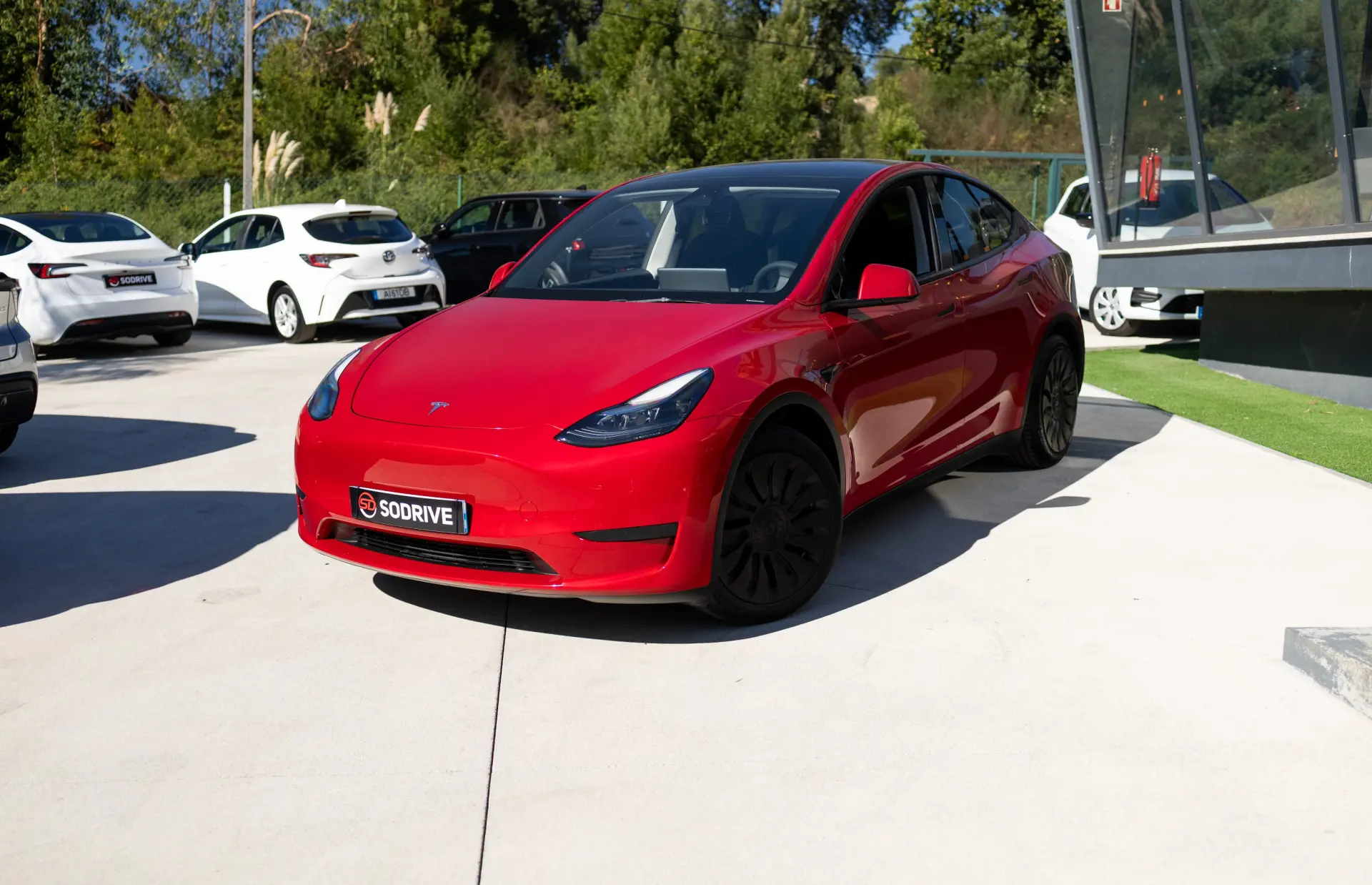 Tesla Model Y Standard 4