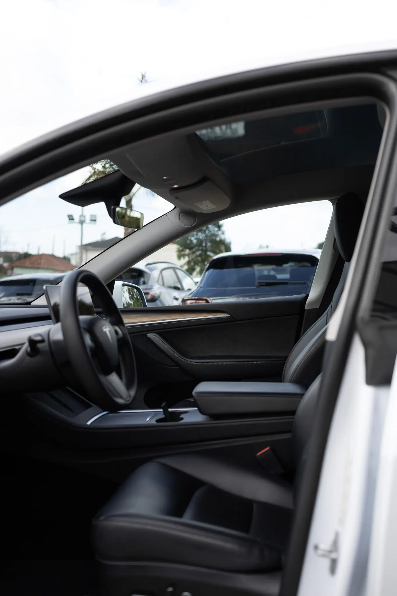 Tesla Model Y Standard 17