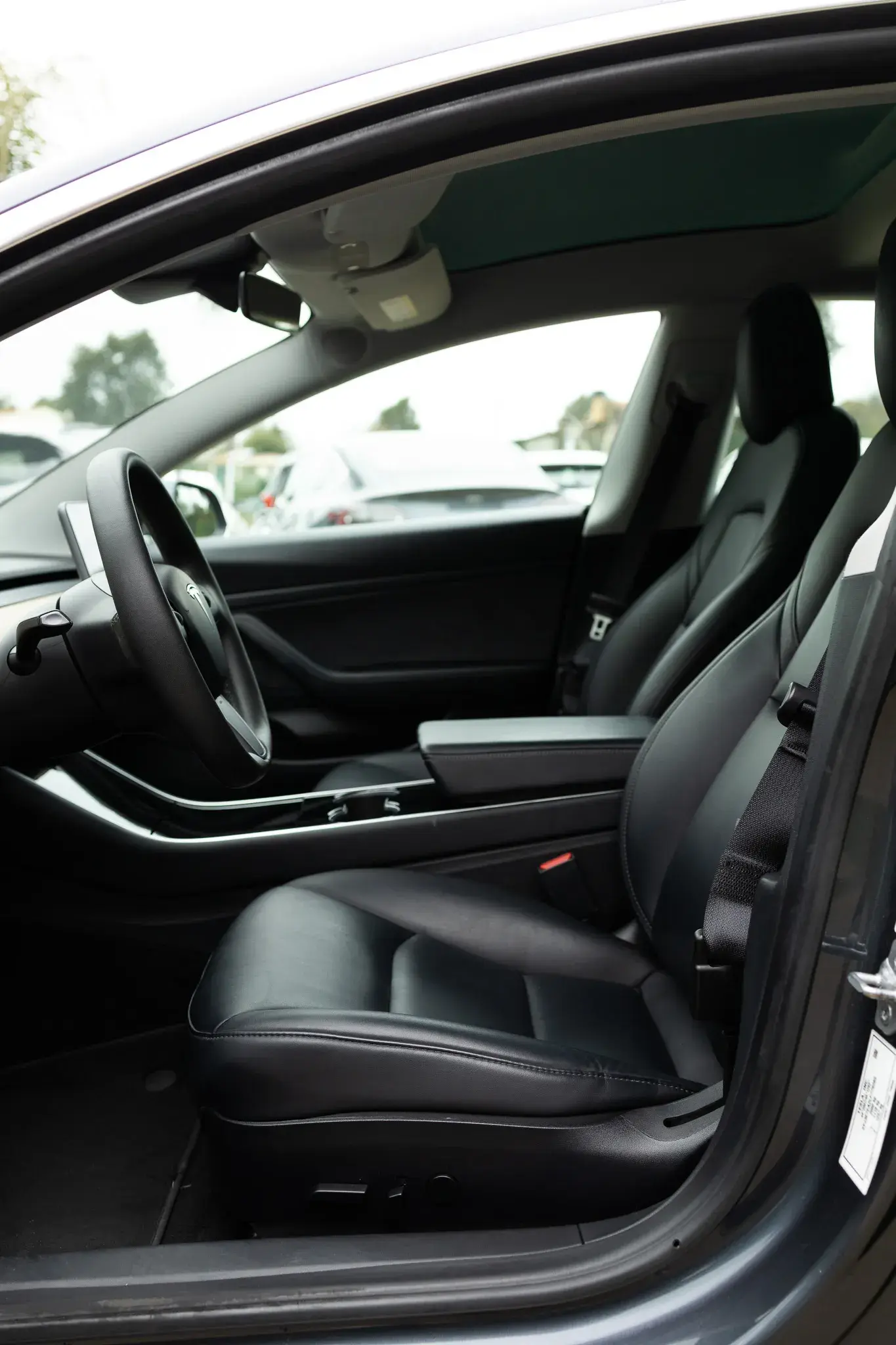Tesla Model 3 Standard RWD Plus 16