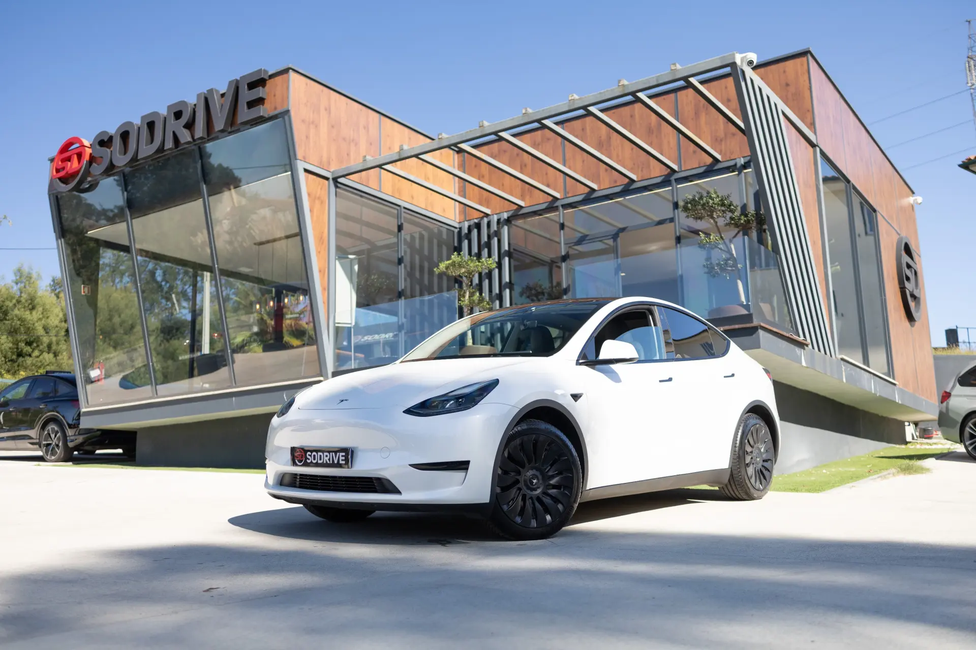 Tesla Model Y Standard 1