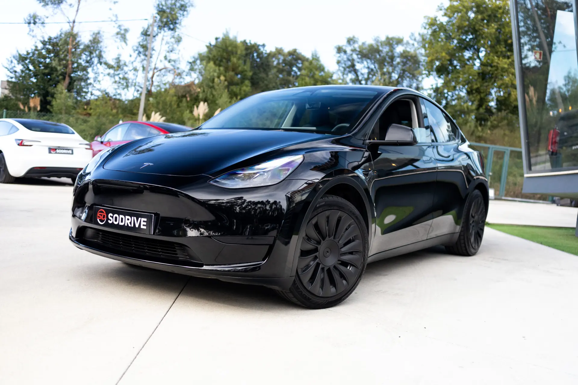 Tesla Model Y Standard 12