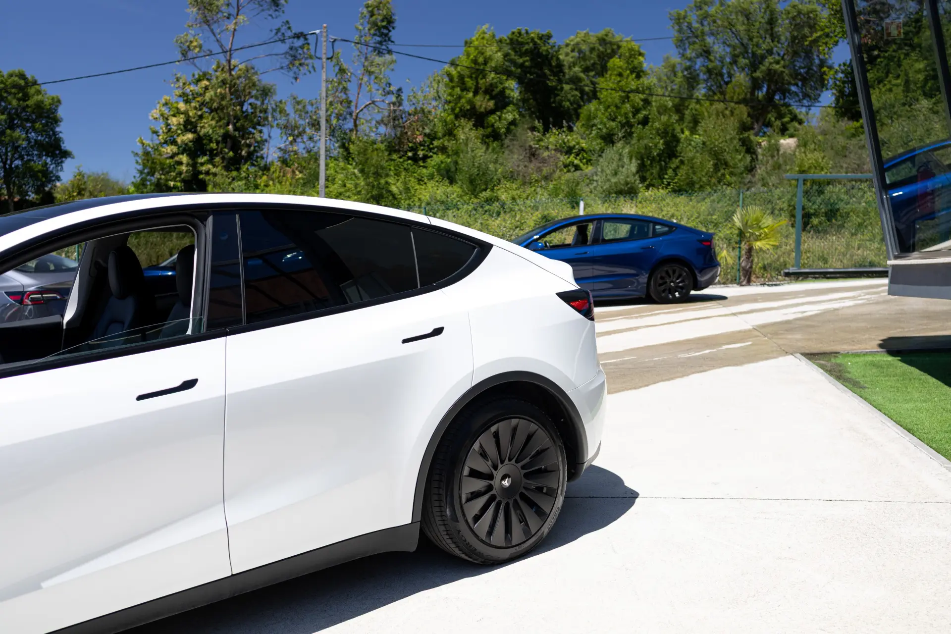 Tesla Model Y Standard RWD 12
