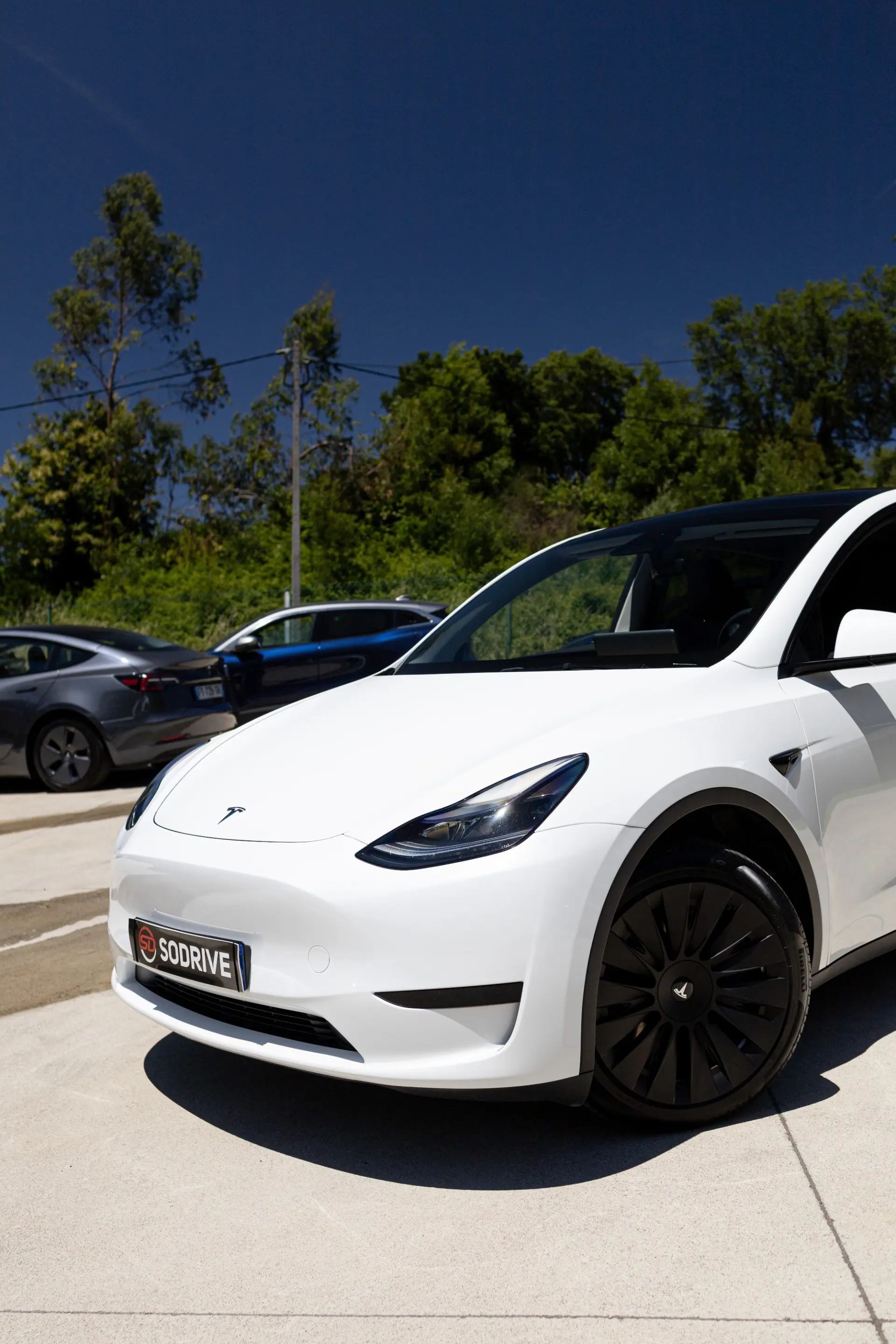 Tesla Model Y Standard RWD 14