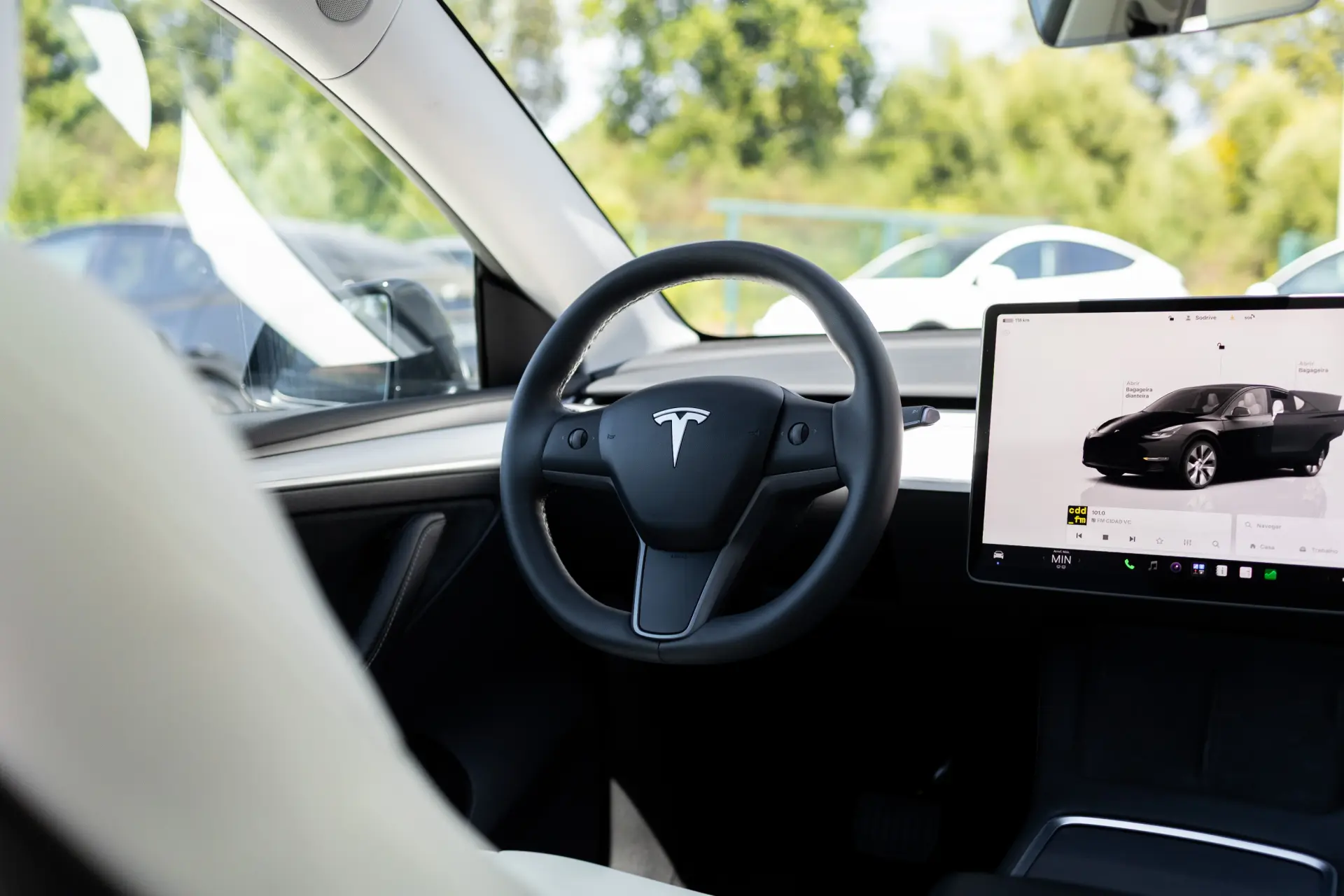Tesla Model Y Standard 7