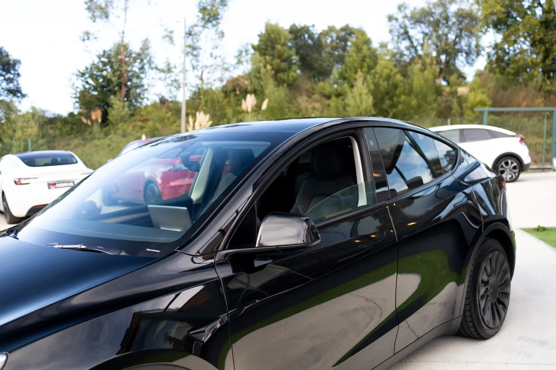 Tesla Model Y Standard 13