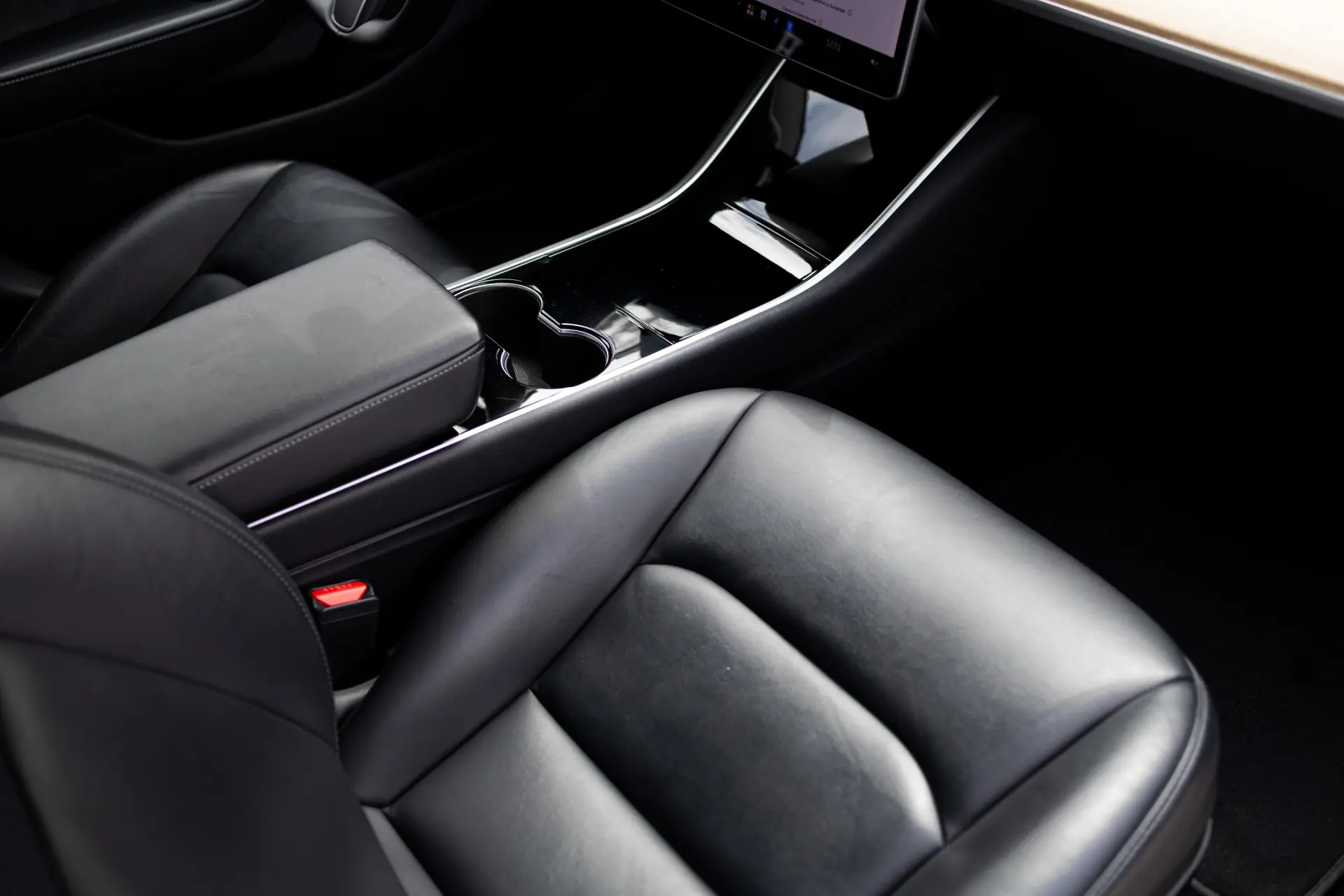 Tesla Model 3 Standard RWD Plus 17