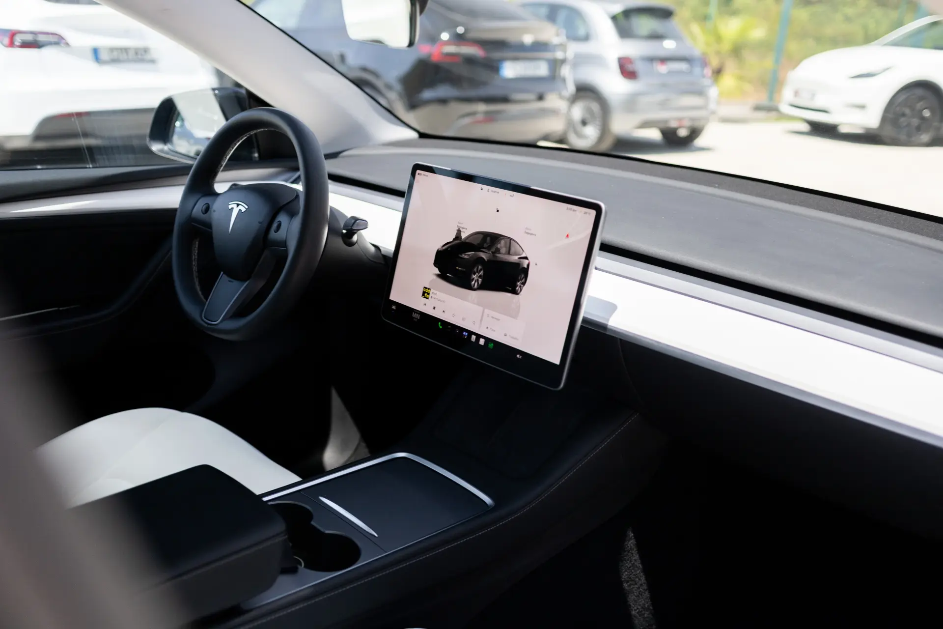 Tesla Model Y Standard 10