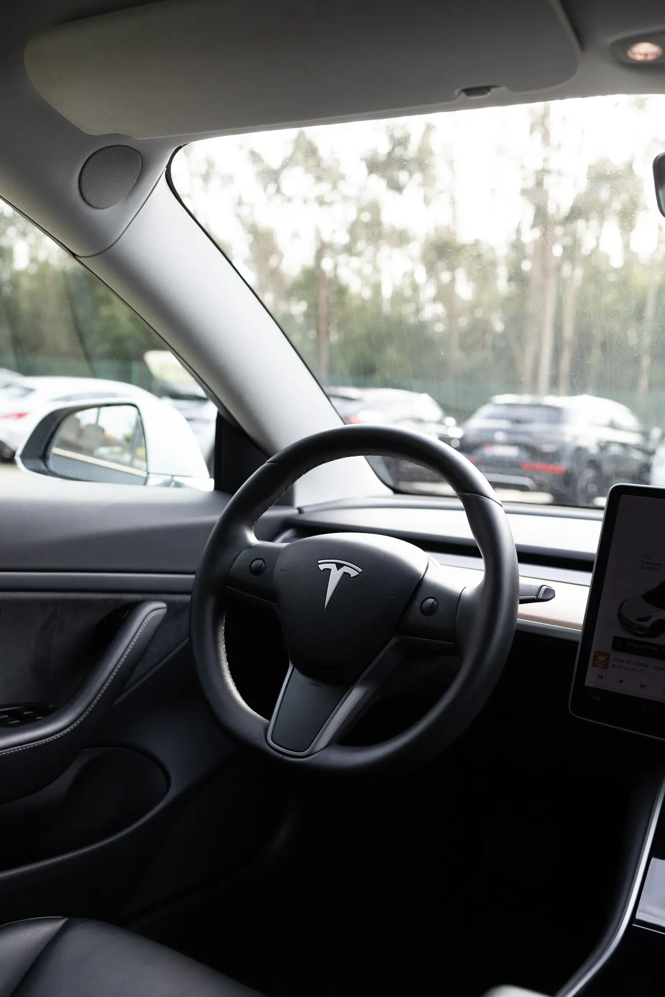 Tesla Model 3 Standard RWD Plus 12