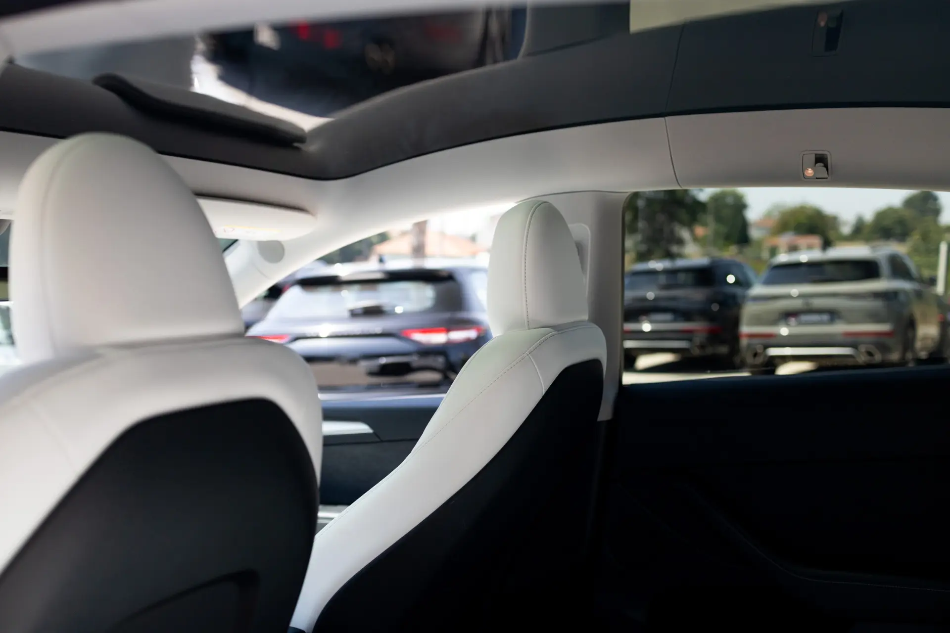 Tesla Model Y Standard 12