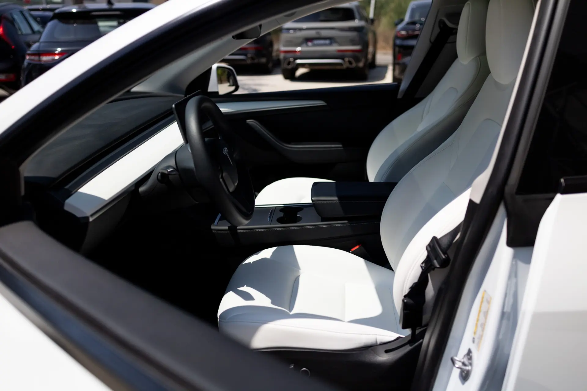 Tesla Model Y Standard 14