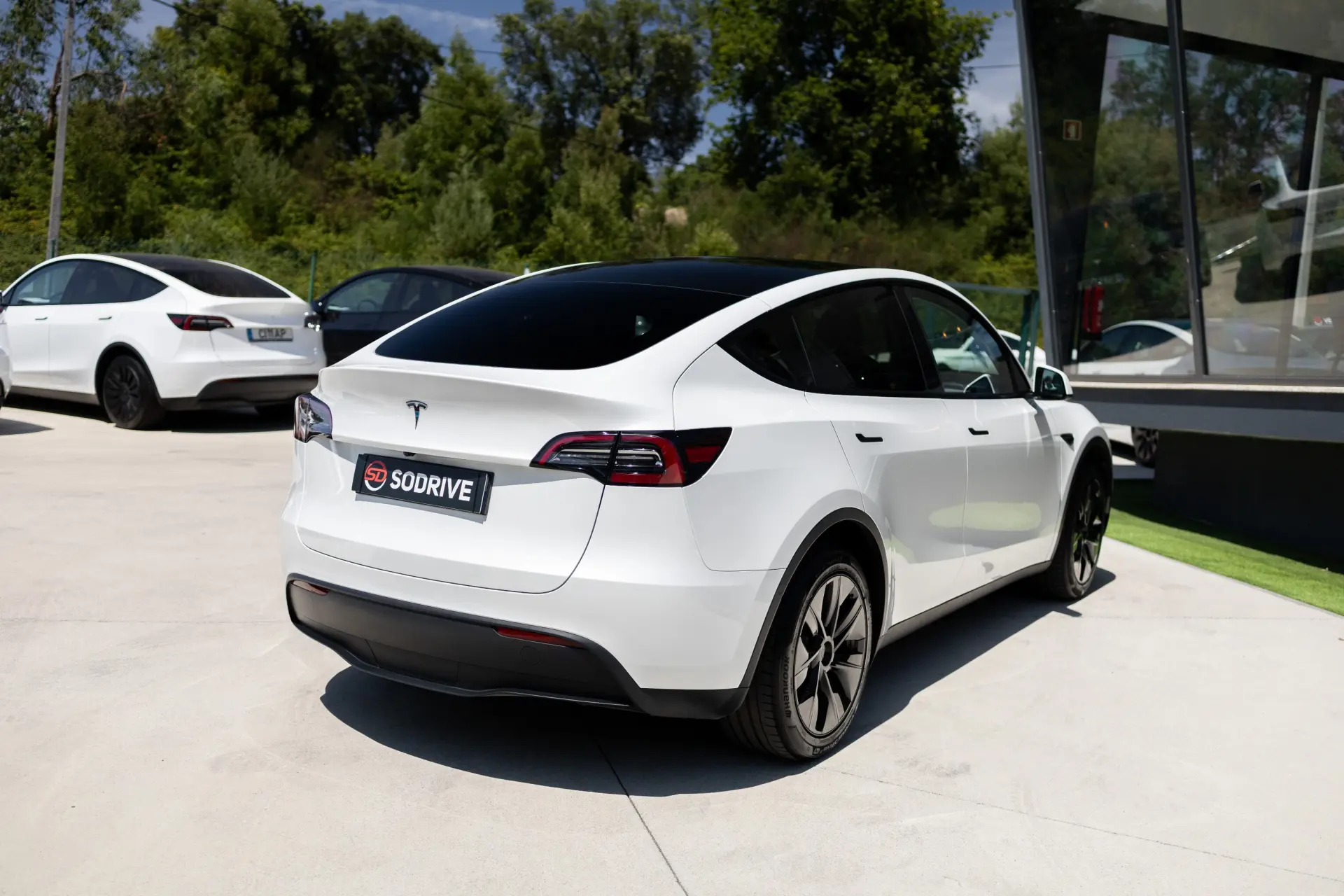 Tesla Model Y Standard 6