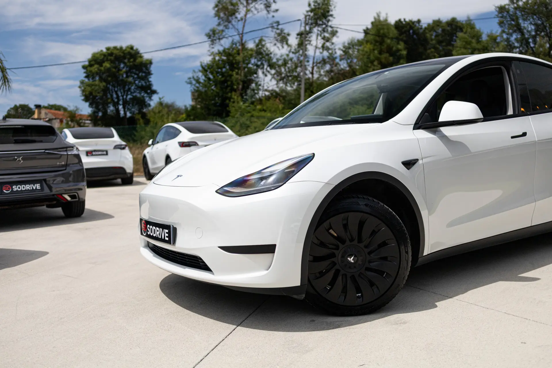Tesla Model Y Standard 13
