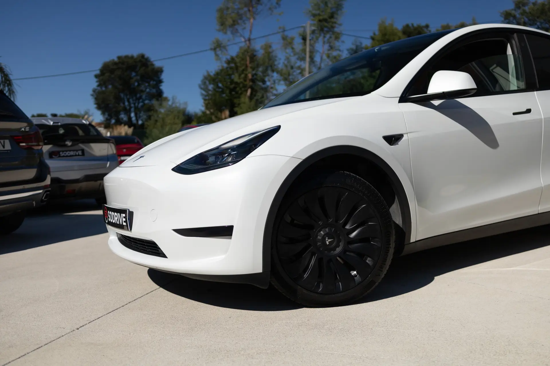 Tesla Model Y Standard 11