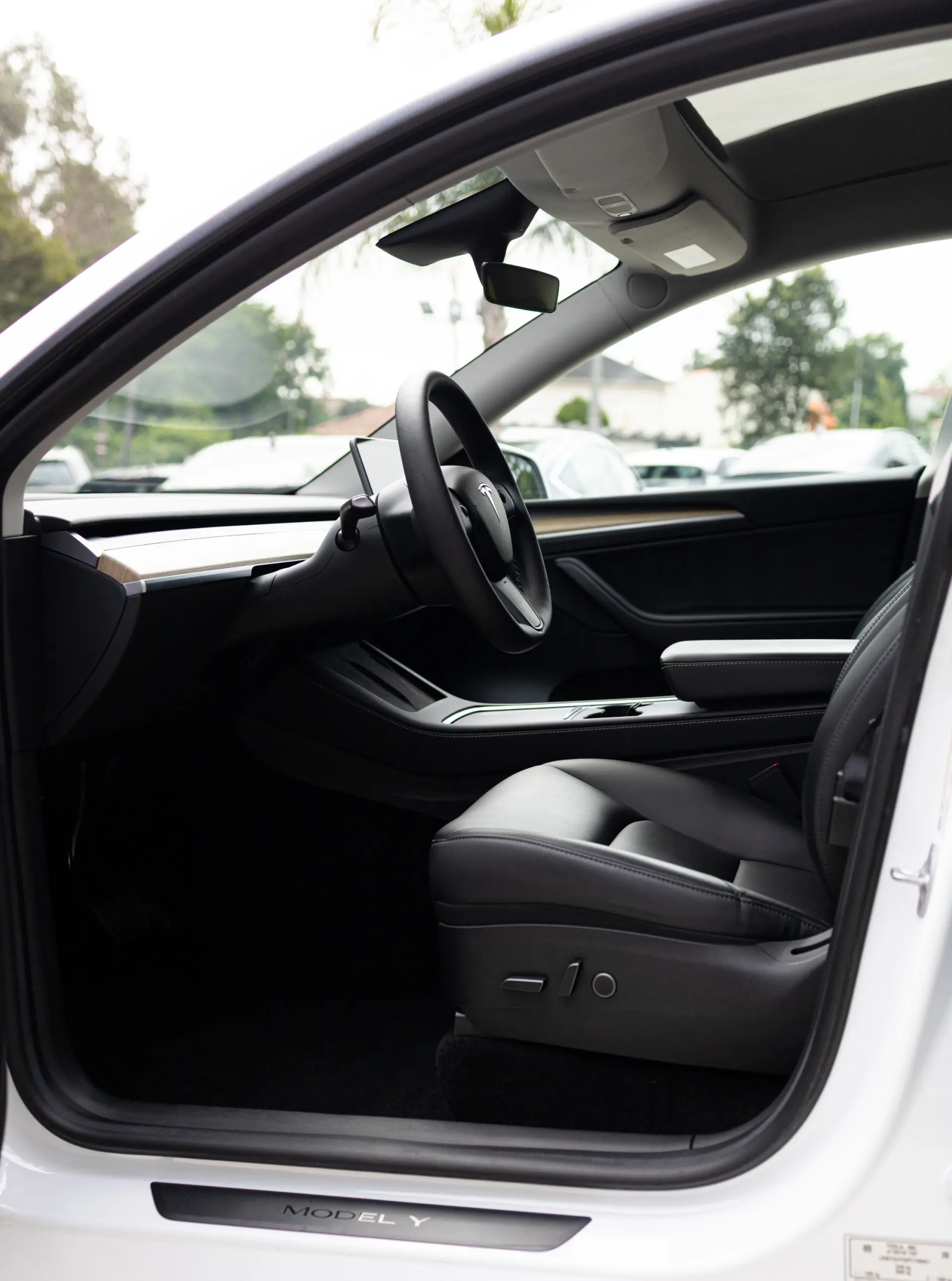 Tesla Model Y Standard 12