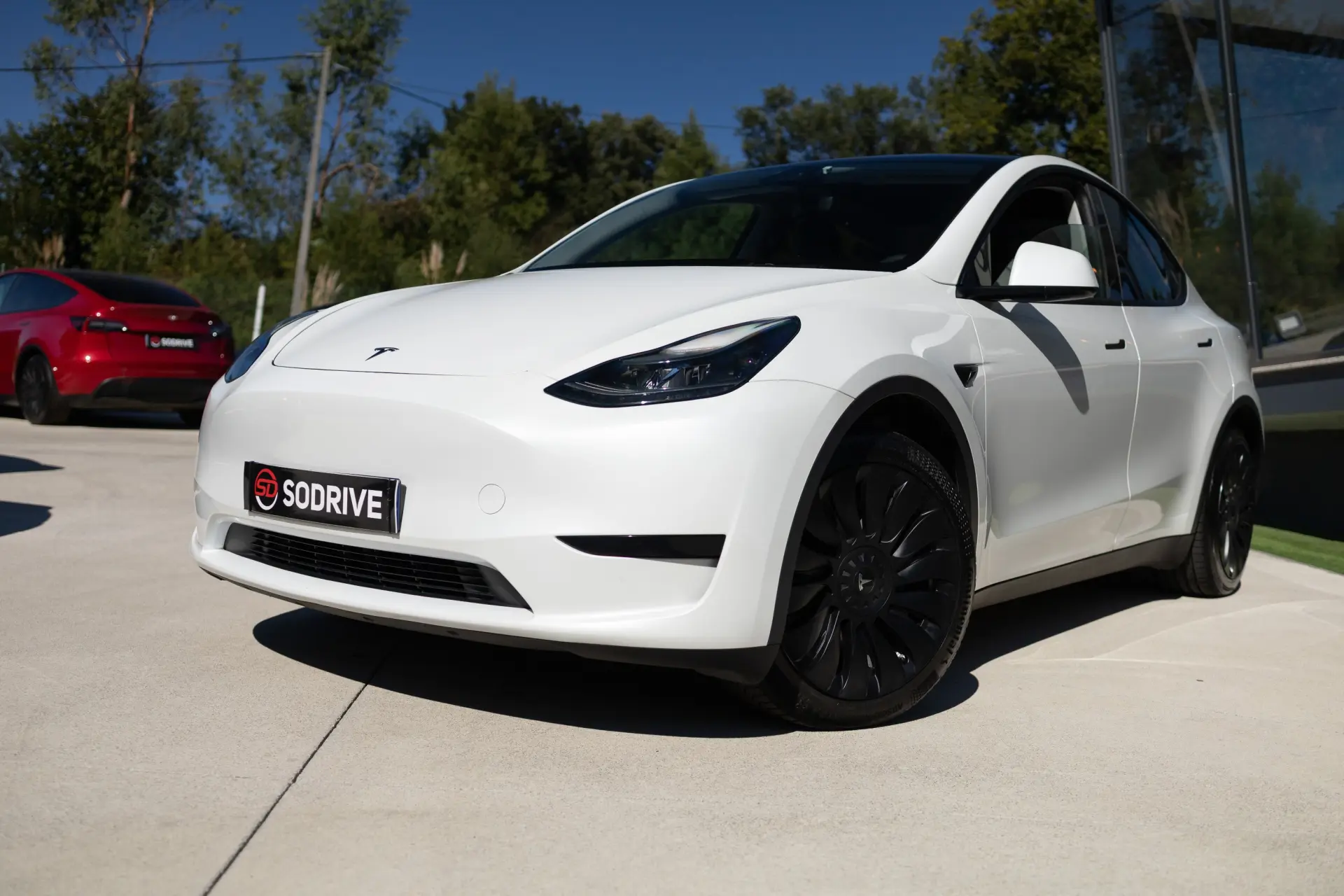 Tesla Model Y Standard 6