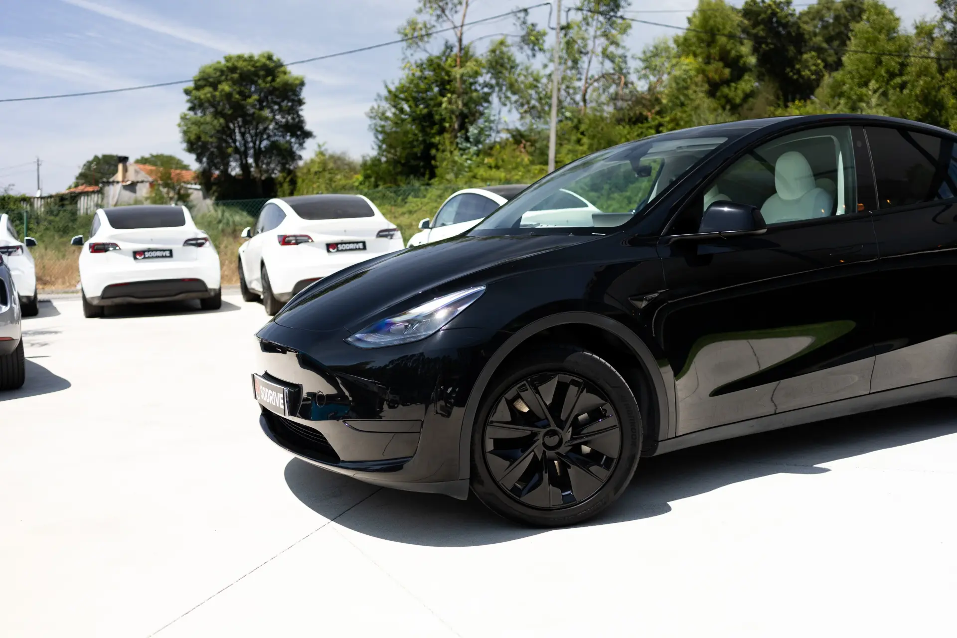 Tesla Model Y Standard 5