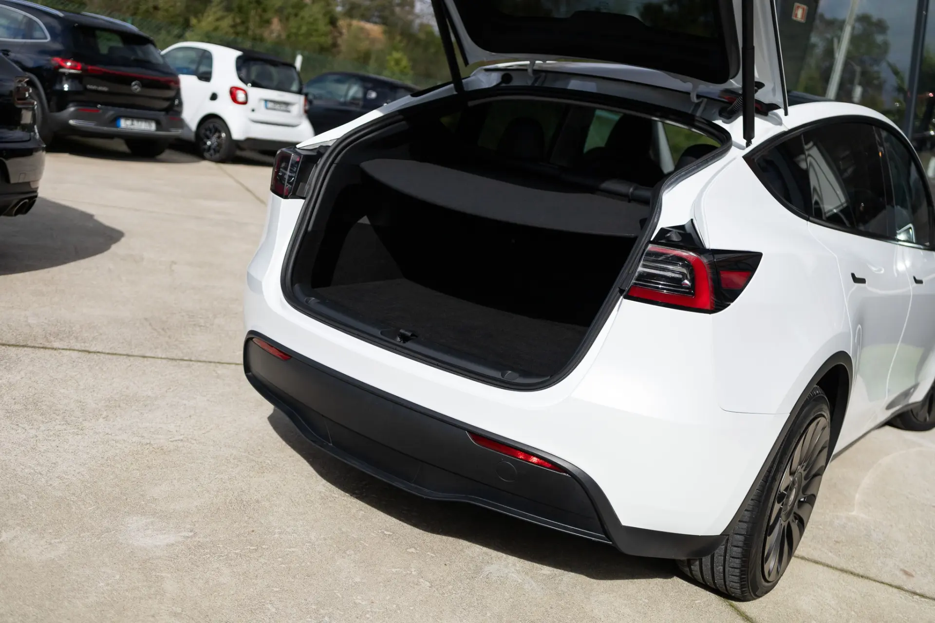 Tesla Model Y Standard 19