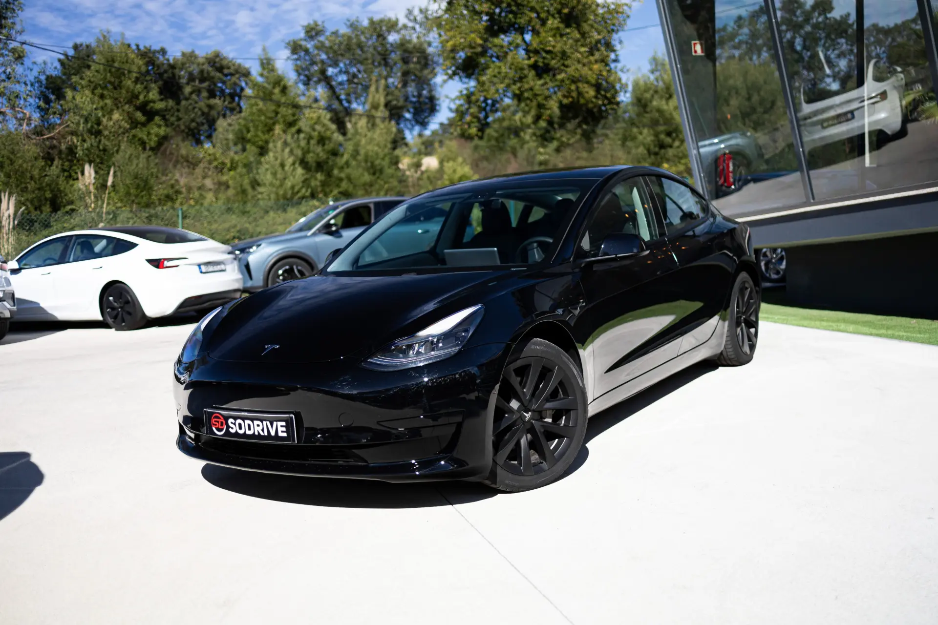 Tesla Model 3 Standard RWD 6