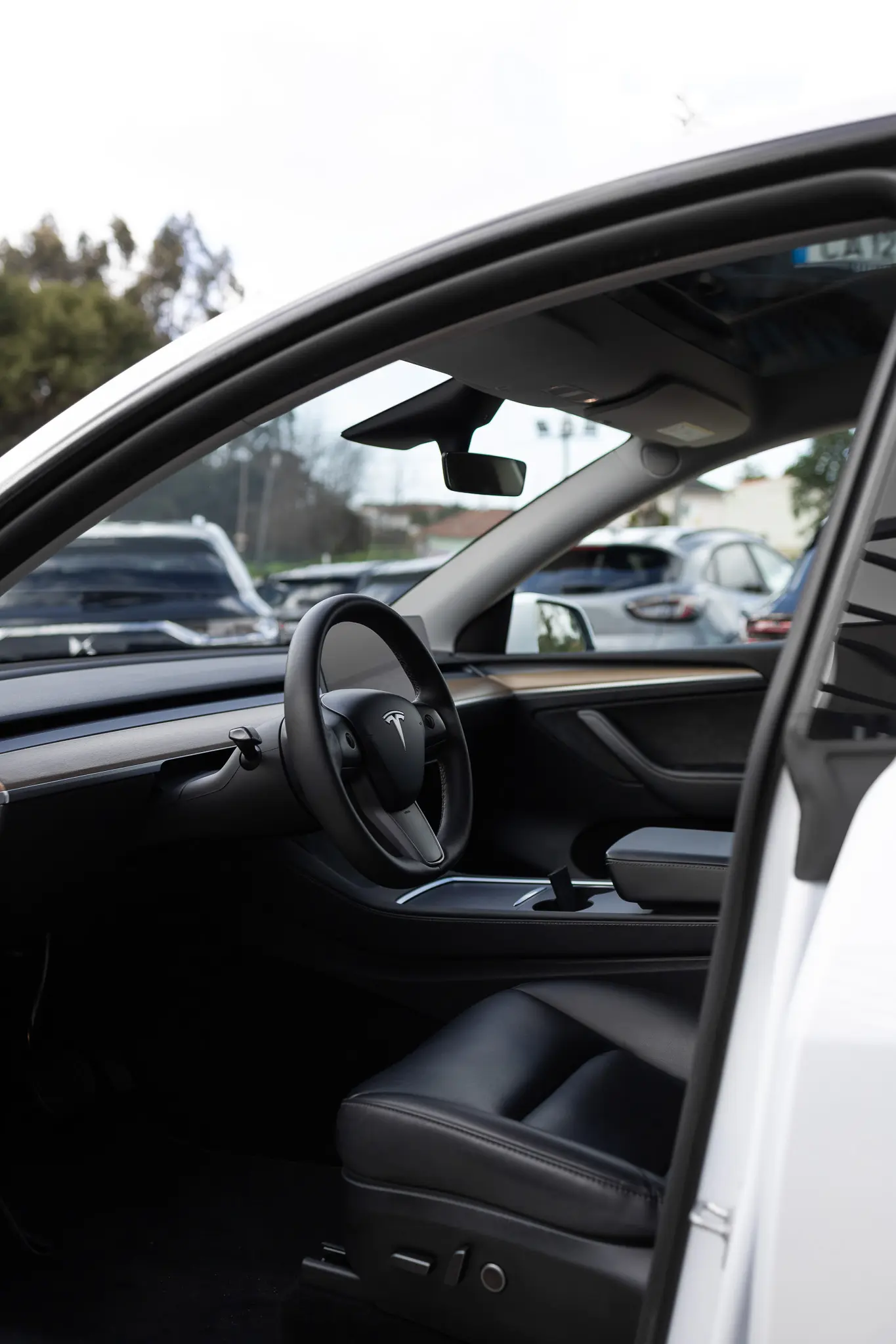 Tesla Model Y Standard 10