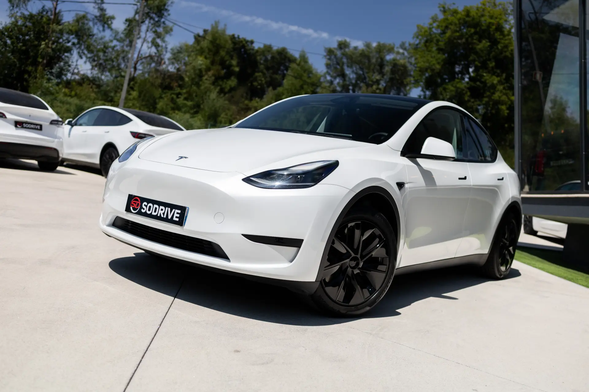 Tesla Model Y Standard 7
