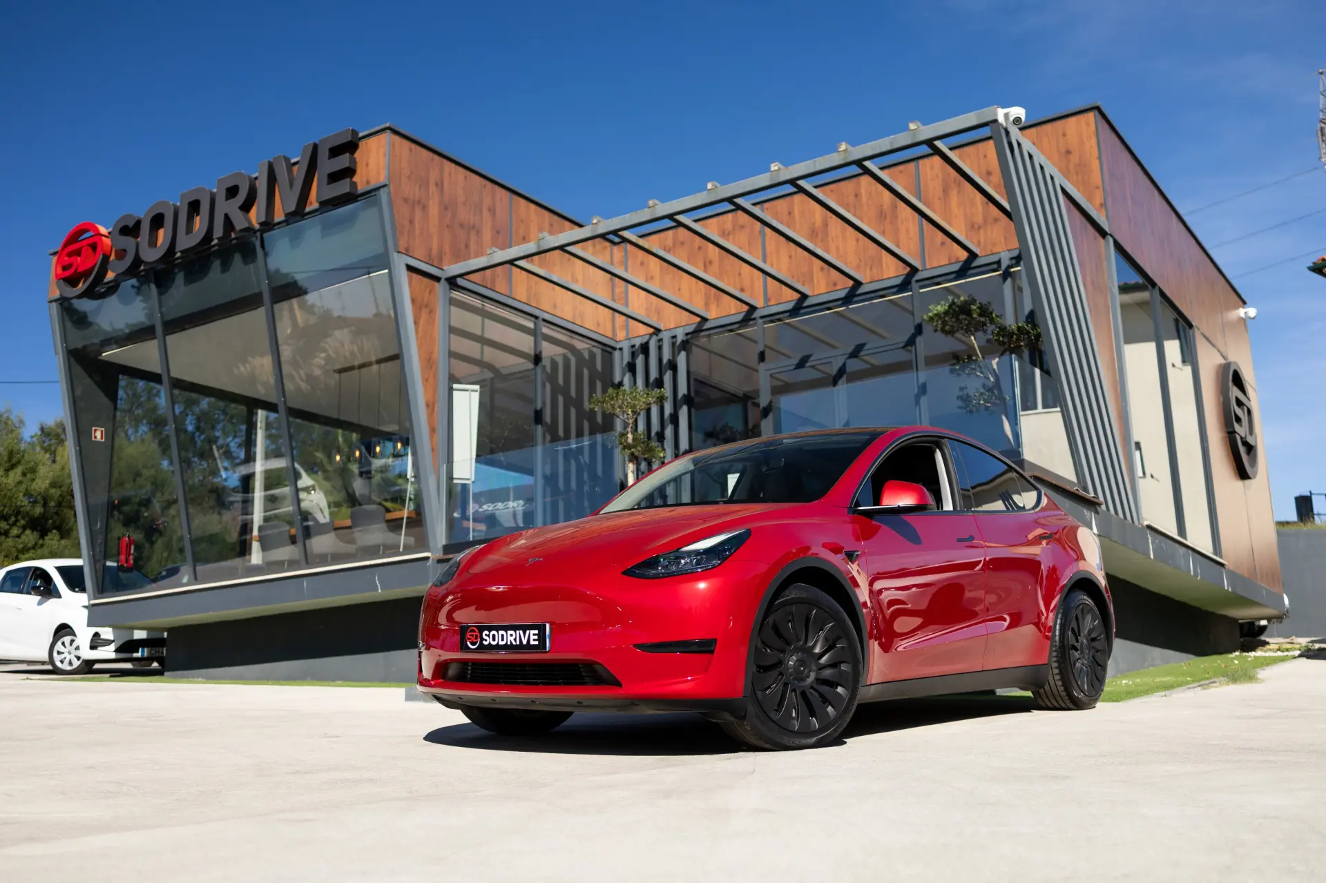 Tesla Model Y Standard 1
