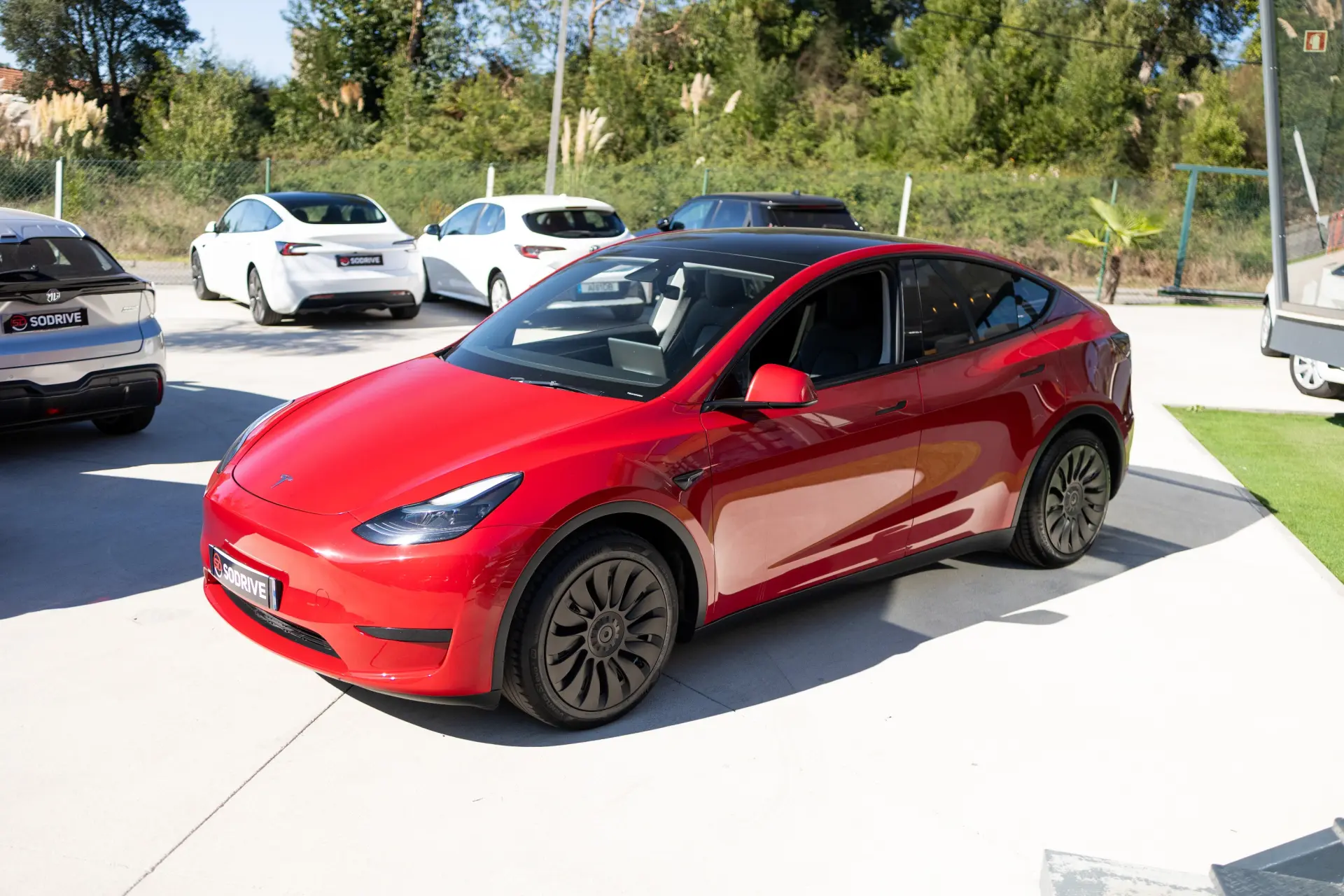 Tesla Model Y Standard 5