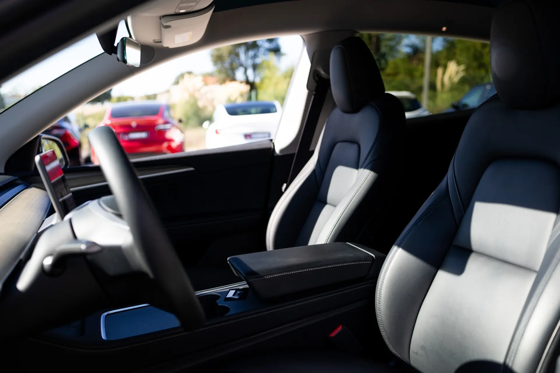 Tesla Model Y Standard 12