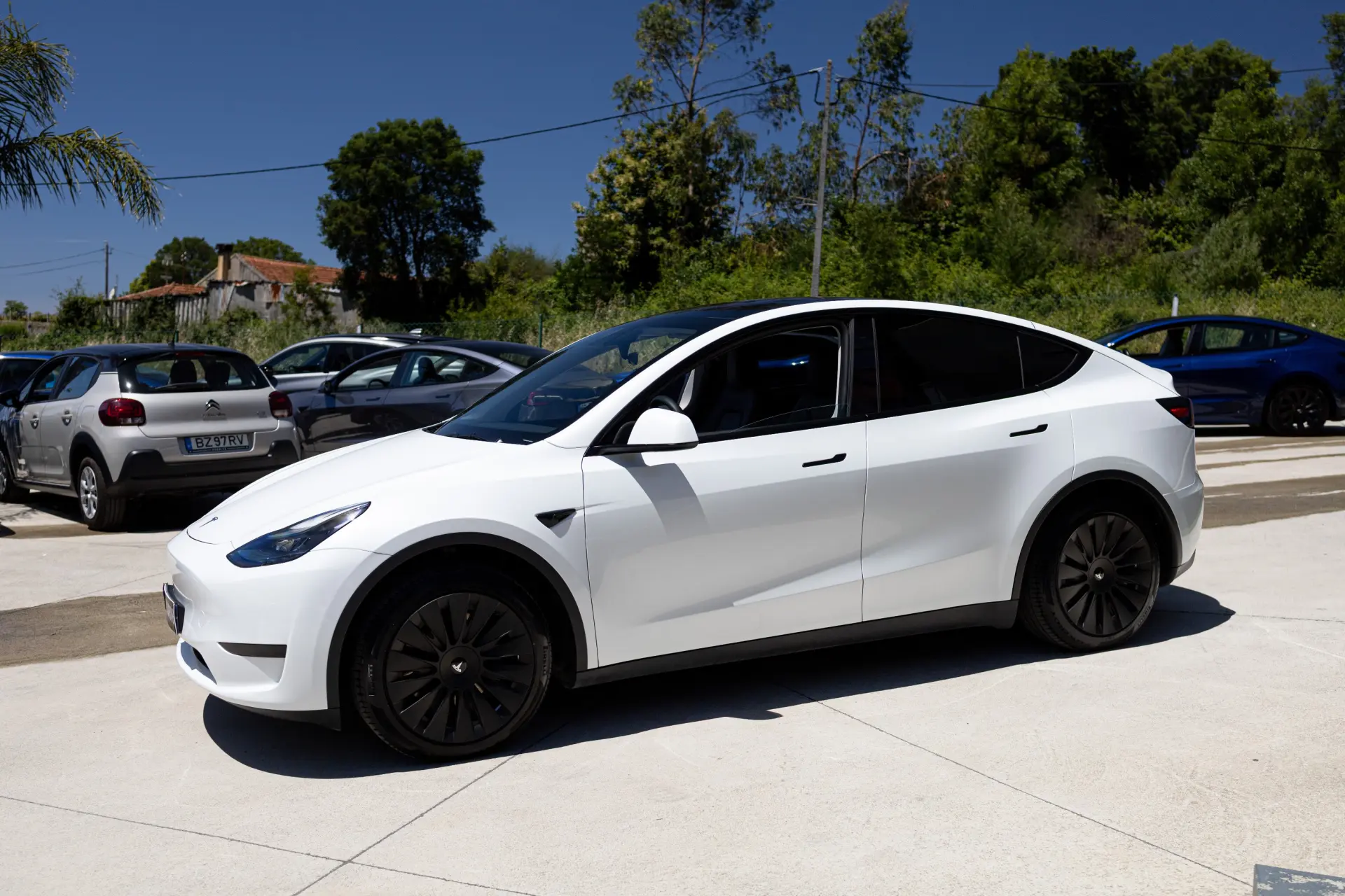 Tesla Model Y Standard RWD 4