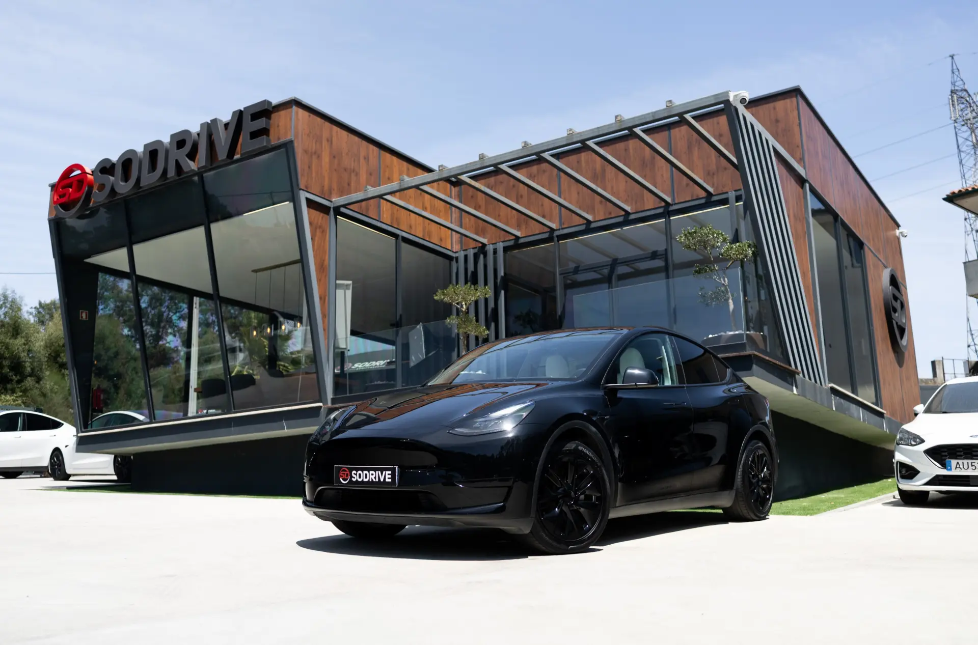 Tesla Model Y Standard 1