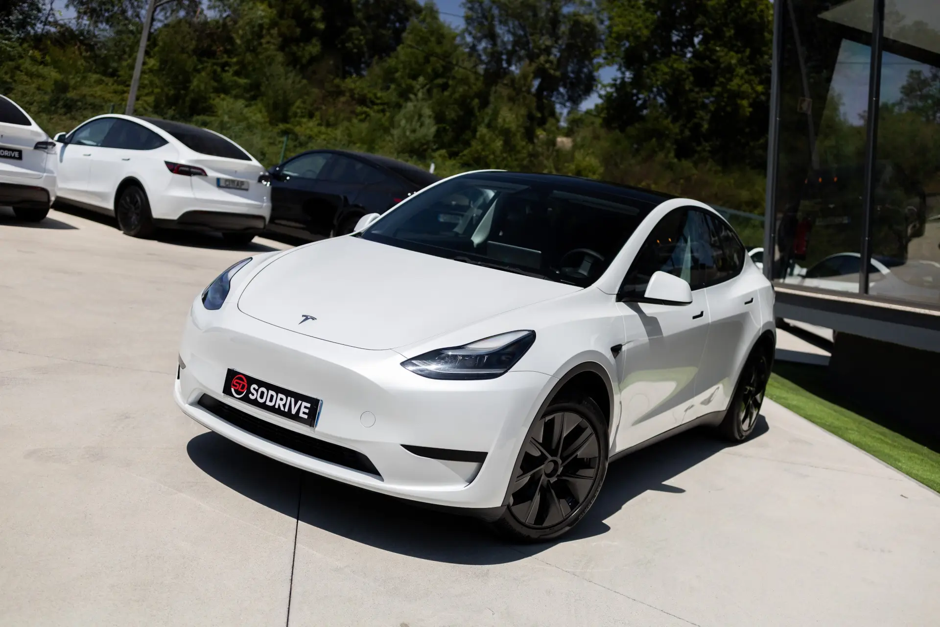 Tesla Model Y Standard 5