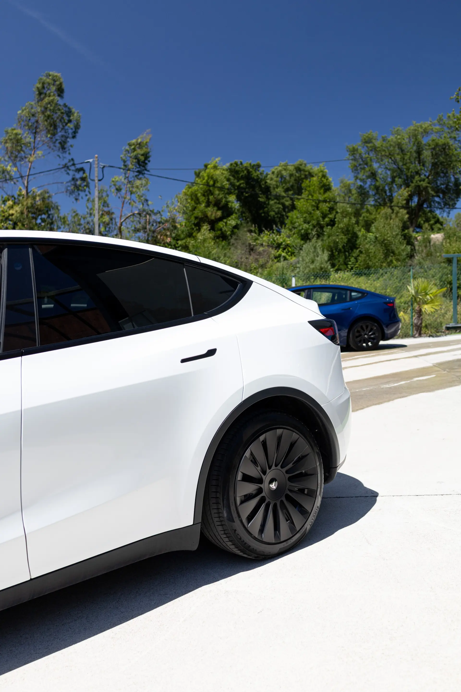 Tesla Model Y Standard RWD 13