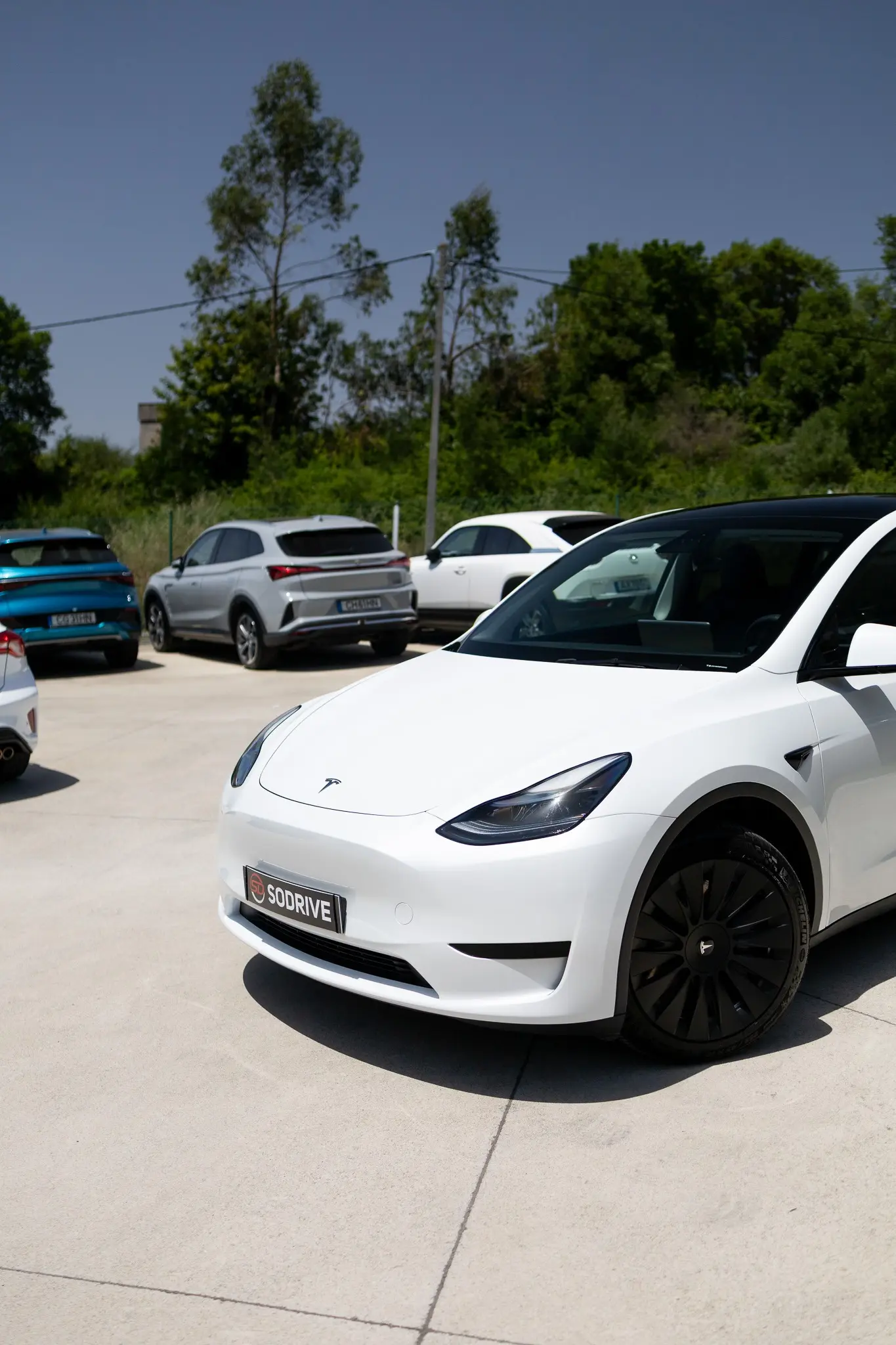 Tesla Model Y Standard 14