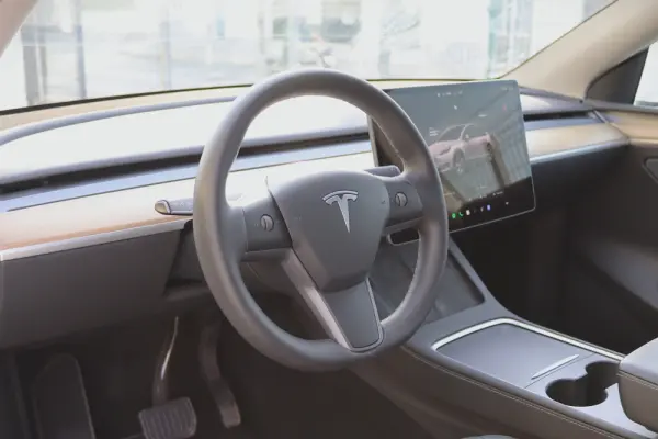 Tesla Model Y Standard 14