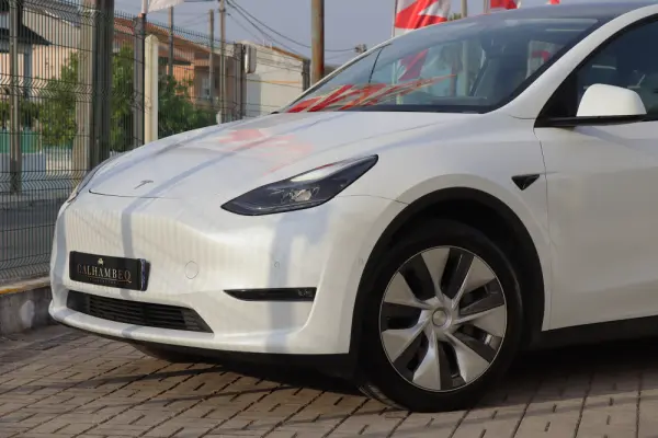 Tesla Model Y Standard 10