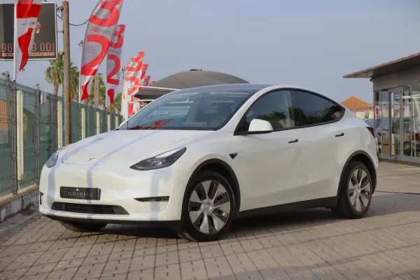 Tesla Model Y Standard 1