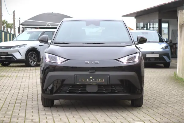 BYD Dolphin Surf 43.2 kWh Boost 2