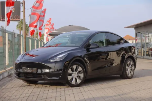 Tesla Model Y Standard 1