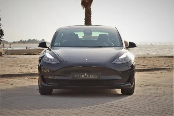 Tesla Model 3 Standard Range Plus RWD 2
